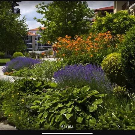 Garden Of Eden 2 Bedrooms Sea View Apartment, Saint * Sveti Vlas